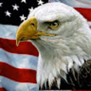 Meet your Posher, Bledi